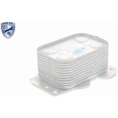 V25-60-0025 Ölkühler, Motoröl EXPERT KITS + V25-60-0025 Ölkühler, Motoröl EXPERT KITS +