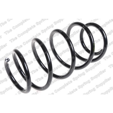 4062069 Fahrwerksfeder