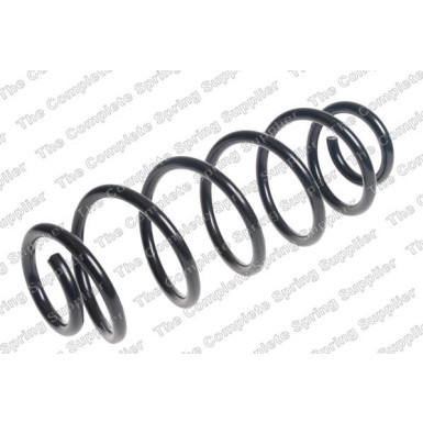 4226155 Fahrwerksfeder