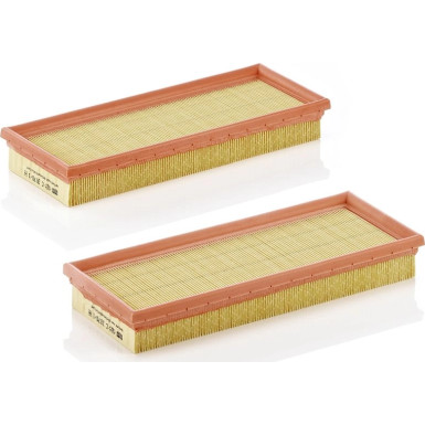 MANN-FILTER C 3170/1-2 Luftfilter MANN-FILTER C 3170/1-2 Luftfilter