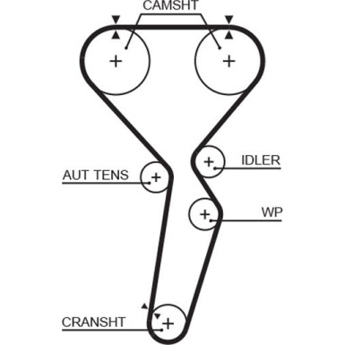 5585XS Zahnriemen PowerGrip™ 5585XS Zahnriemen PowerGrip™