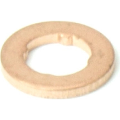 F 00V P01 004 Dichtring, Düsenschacht