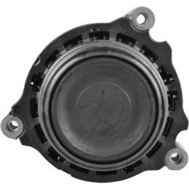 Tedgum | Lagerung, Motor | TED49670