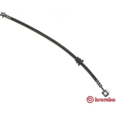 Brembo | Bremsschlauch | T 15 018