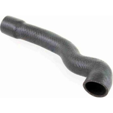 Vaico | Kühlerschlauch | V20-1239