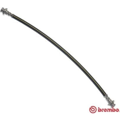 Brembo | Bremsschlauch | T 56 183