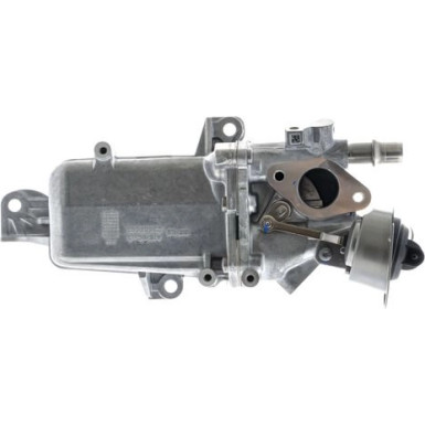 CE 36 000P Kühler, Abgasrückführung BEHR *** PREMIUM LINE ***