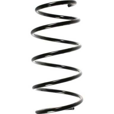 Spidan | Fahrwerksfeder | 49319