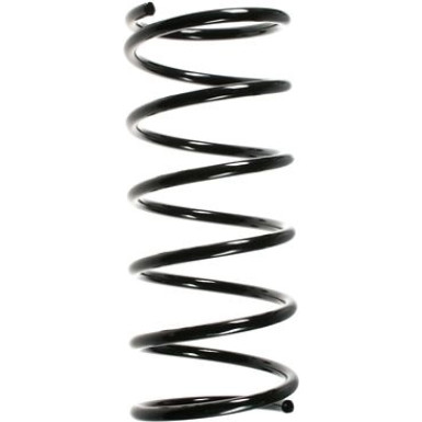 Spidan | Fahrwerksfeder | 55170