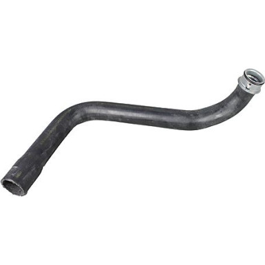 2420949 Kühlerschlauch