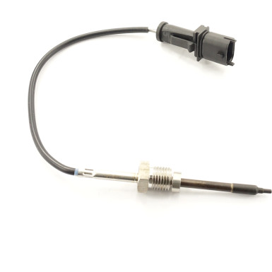 9 8029 1 Sensor, Abgastemperatur