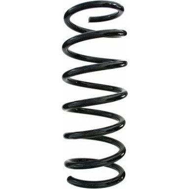 Spidan | Fahrwerksfeder | 87518