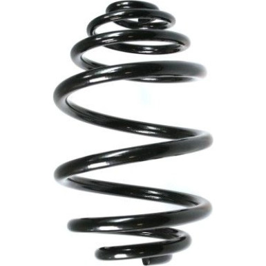 Spidan | Fahrwerksfeder | 48502