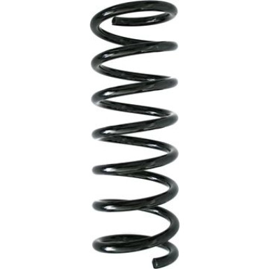 Spidan | Fahrwerksfeder | 85893