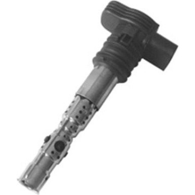 060717053012 Zündspule