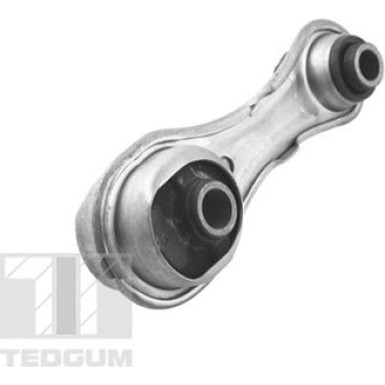 TED50390 Lagerung, Motor