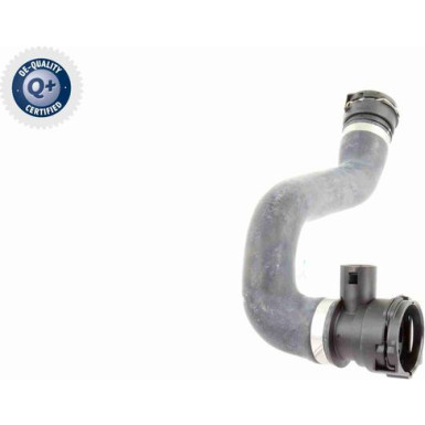 Vaico | Kühlerschlauch | V20-0865