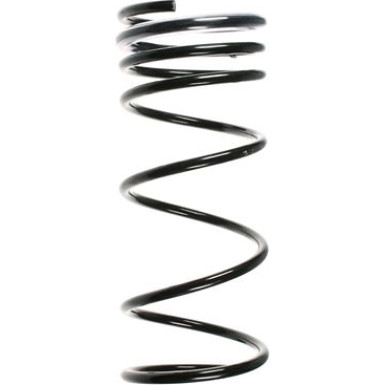 Spidan | Fahrwerksfeder | 49683
