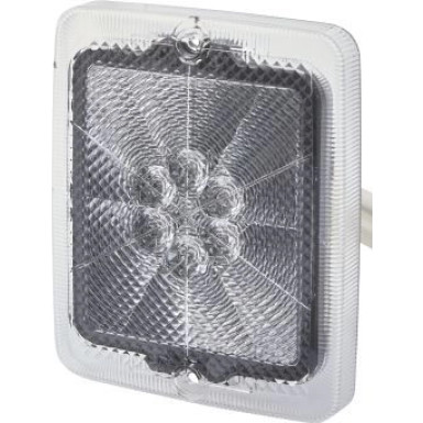 9DW 195 804-001 Lichtscheibe, Nebelschlussleuchte