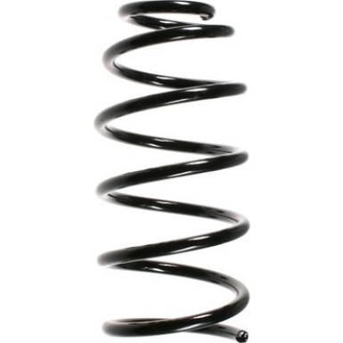 Spidan | Fahrwerksfeder | 49552