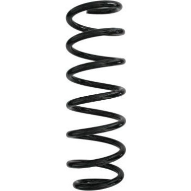 Spidan | Fahrwerksfeder | 87919 Spidan | Fahrwerksfeder | 87919