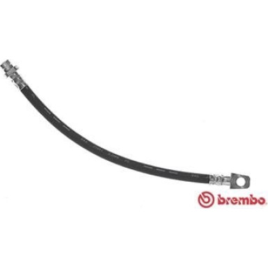 Brembo | Bremsschlauch | T 56 114