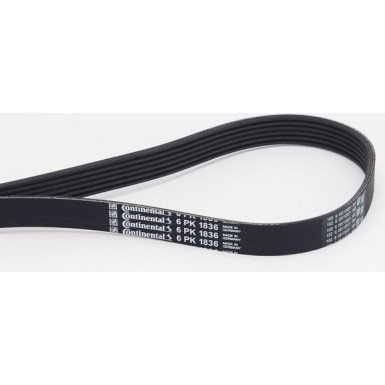 6PK1836 Keilrippenriemen