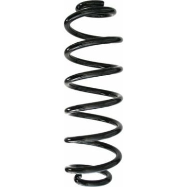 Spidan | Fahrwerksfeder | 87173
