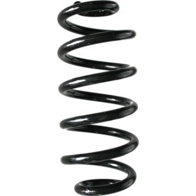 Spidan | Fahrwerksfeder | 88389
