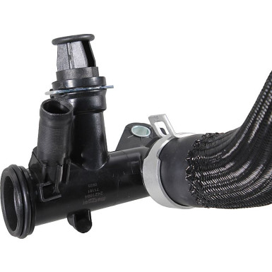 2421684 Kühlerschlauch 2421684 Kühlerschlauch