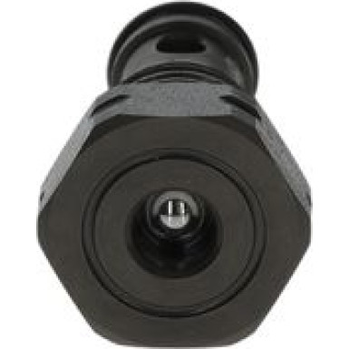 BOSCH | Ventil, Einspritzanlage | F 00N 202 279