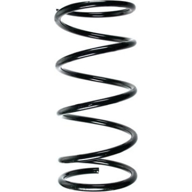 Spidan | Fahrwerksfeder | 55535