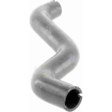 Vaico | Kühlerschlauch | V24-0874