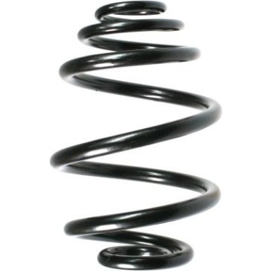Spidan | Fahrwerksfeder | 55955
