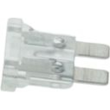 BOSCH | Sicherung | 1 904 529 908