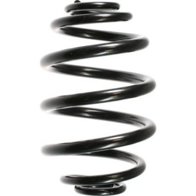 Spidan | Fahrwerksfeder | 48457