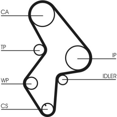 CT1061WP3 Wasserpumpe + Zahnriemensatz
