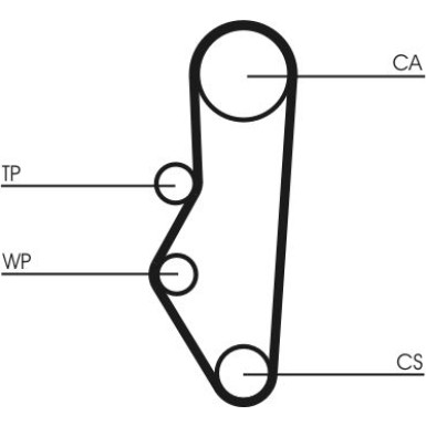 CT525 Zahnriemen