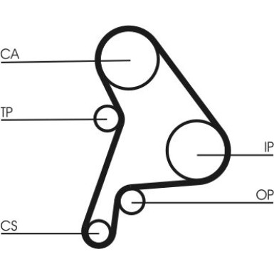 CT1012 Zahnriemen