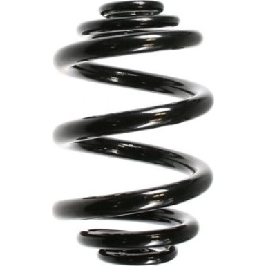 Spidan | Fahrwerksfeder | 55711