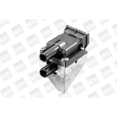 BorgWarner (BERU) | Zündspule | ZS313