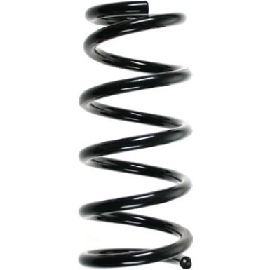 Spidan | Fahrwerksfeder | 55472