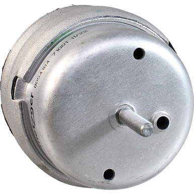8054184 Lagerung, Motor