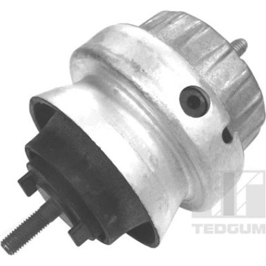 Tedgum | Lagerung, Motor | 00056444