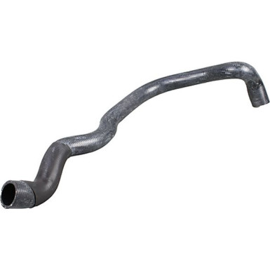 2420963 Kühlerschlauch