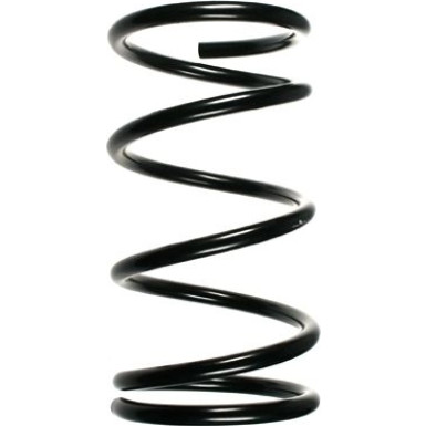 Spidan | Fahrwerksfeder | 55351