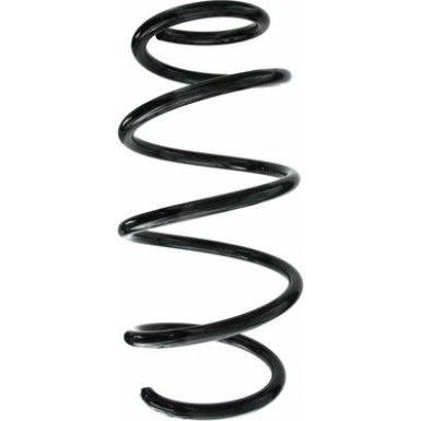Spidan | Fahrwerksfeder | 87701
