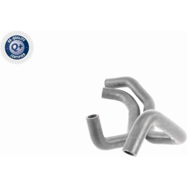 Vaico | Kühlerschlauch | V10-3913