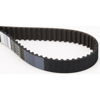 CT1061 Zahnriemen