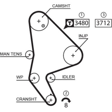 5590XS Zahnriemen PowerGrip™ 5590XS Zahnriemen PowerGrip™